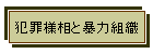 ƍߗlƖ\͑gD